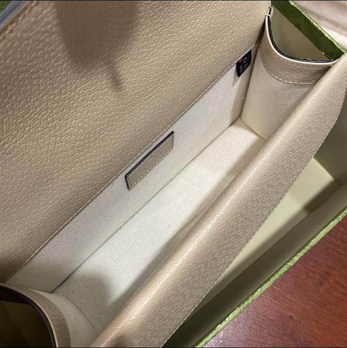 202529C499623N164047201