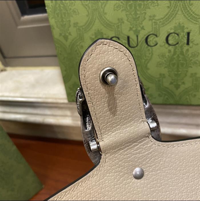 202529C499623N164047217