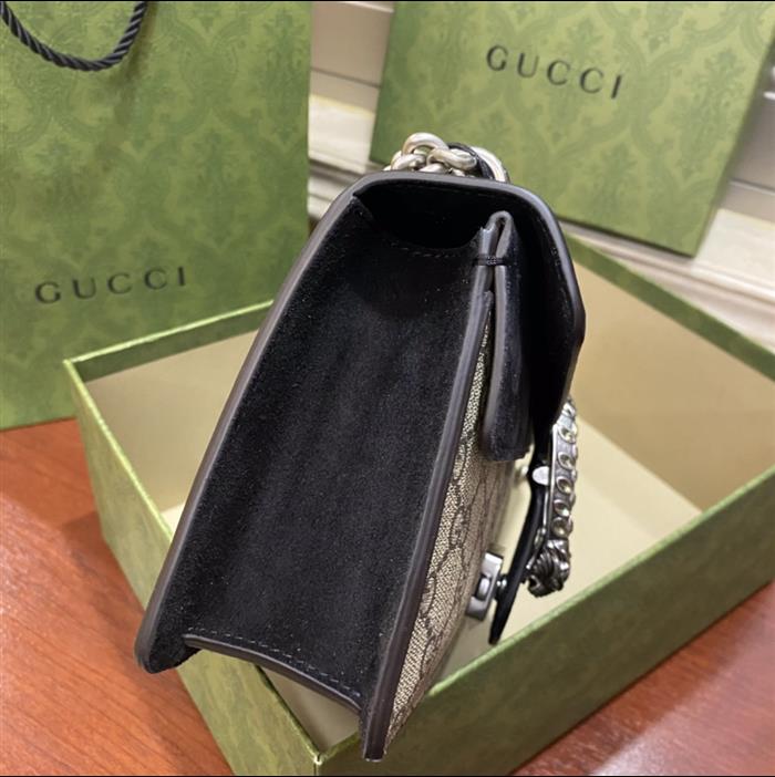 202529C499623N164047793