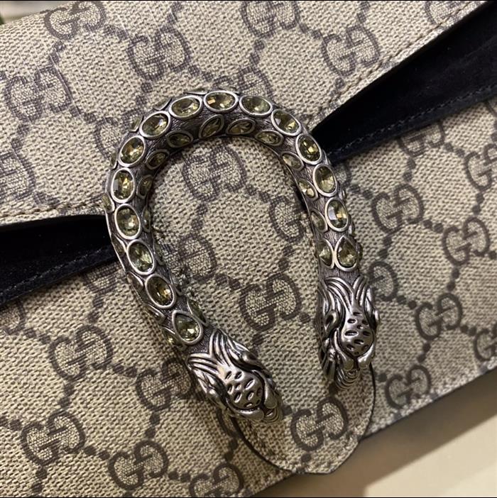 202529C499623N164047825