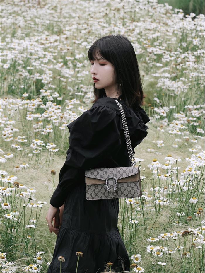 202529C499623N164047998