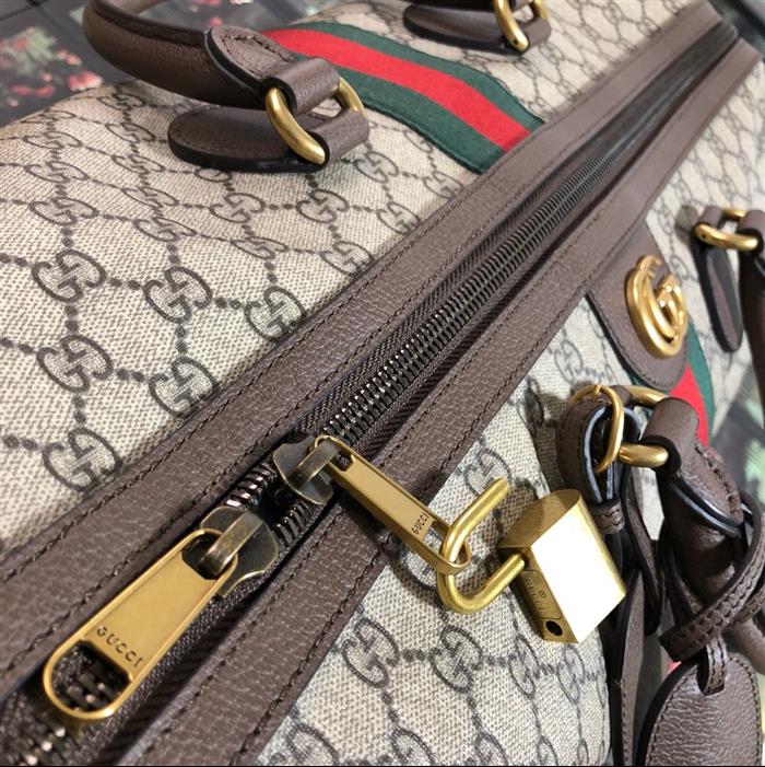 202529C547959N164033825