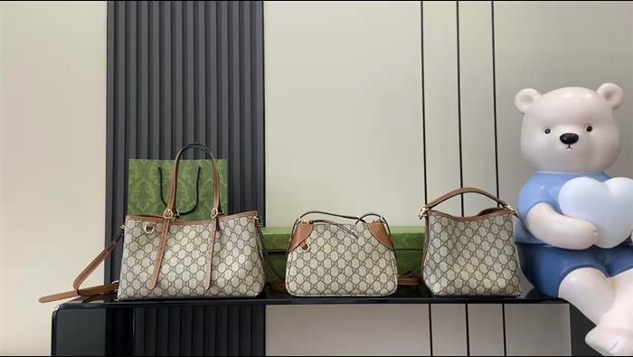 2025210C815118N20222384