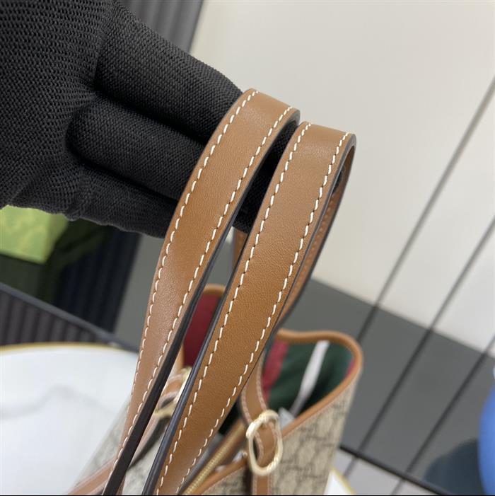 2025210C815213N202224828