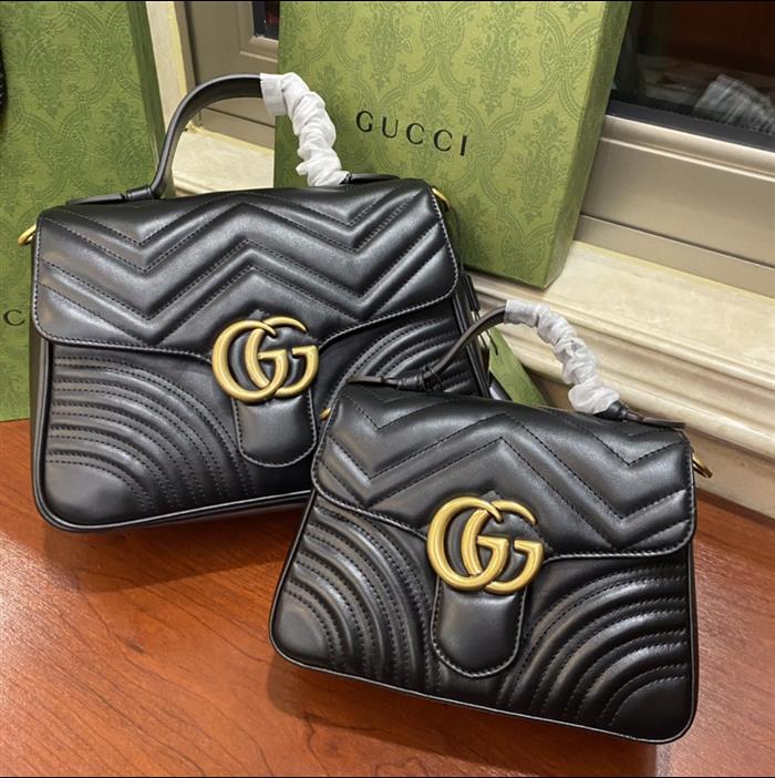 202529C498110N164022170