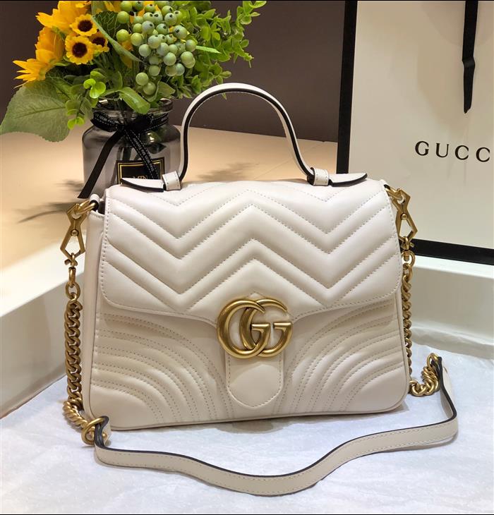 202529C498110N164022186