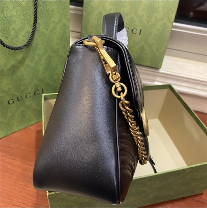 202529C498110N164022326