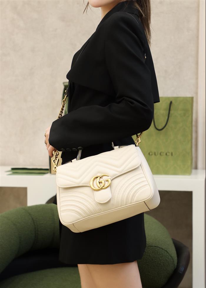 202529C498110N164022579