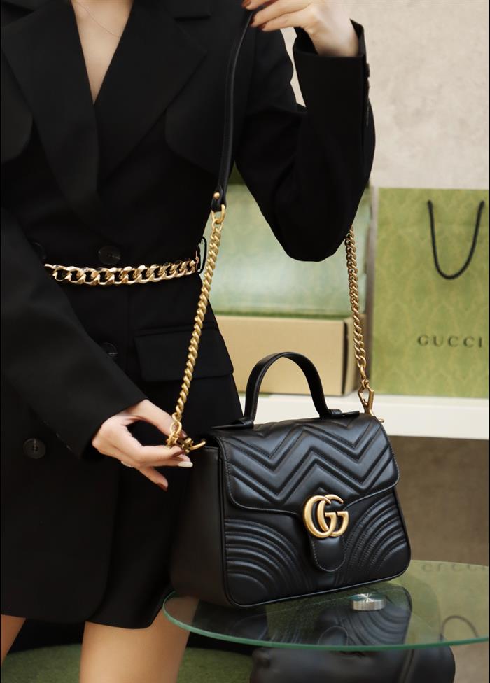 202529C498110N164022737