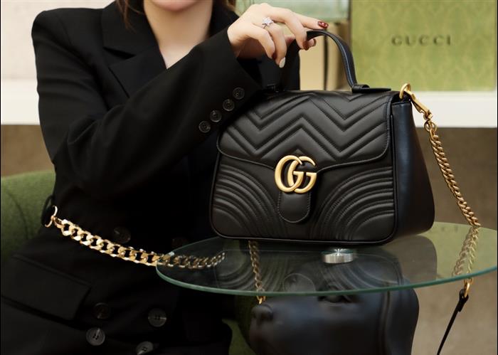 202529C498110N164022800