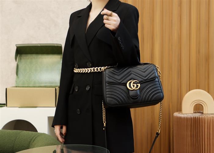 202529C498110N164022816