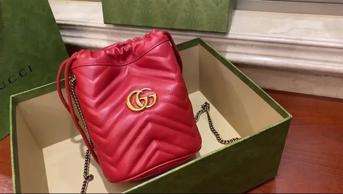 202529C575163N164024509