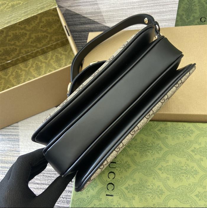 2025210C815178N20204816