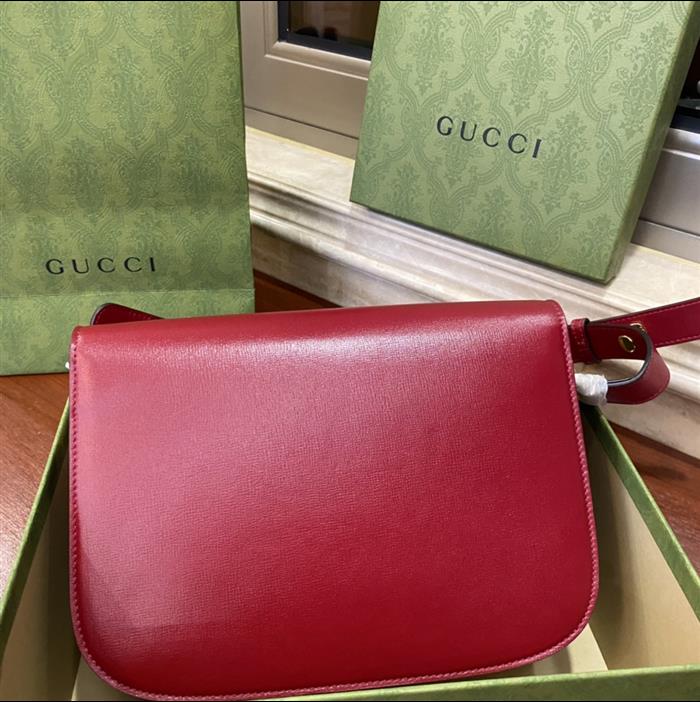 202529C602204N164056125