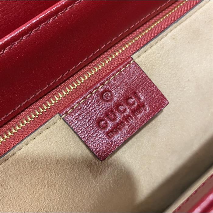 202529C602204N164056218