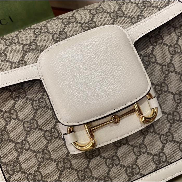 202529C602204N164056580