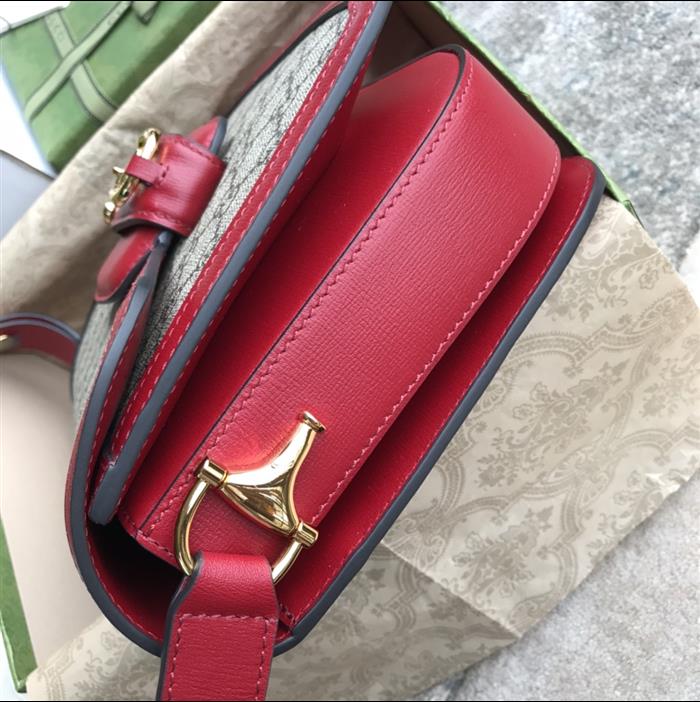 202529C602204N164056674