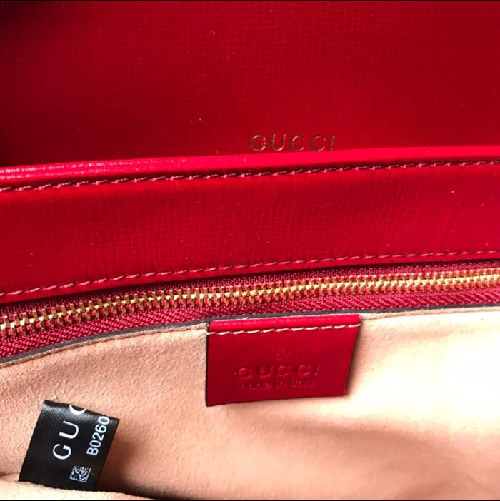 202529C602204N164056783