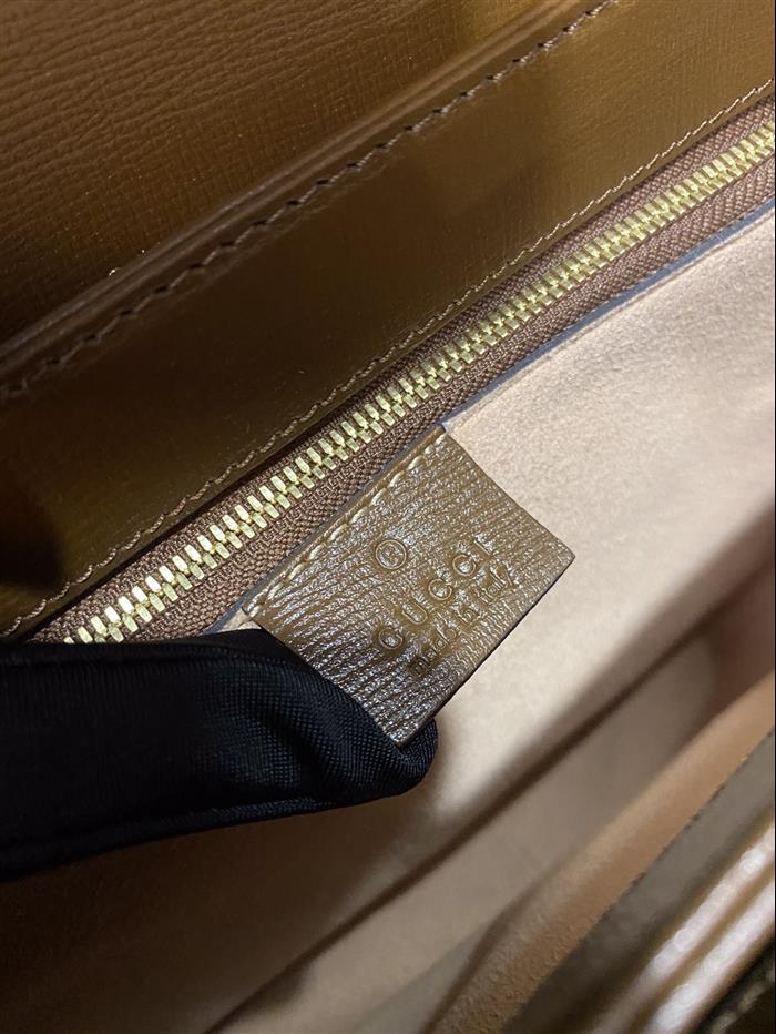 202529C602204N164056925