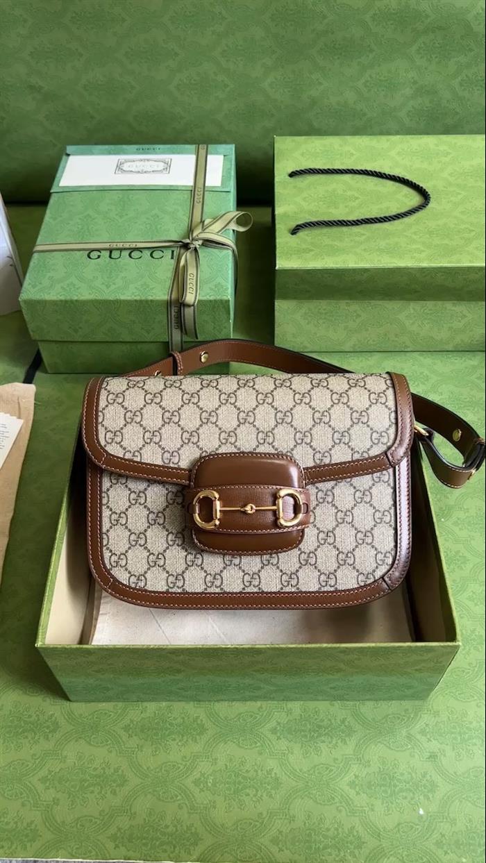 202529C602204N164057145