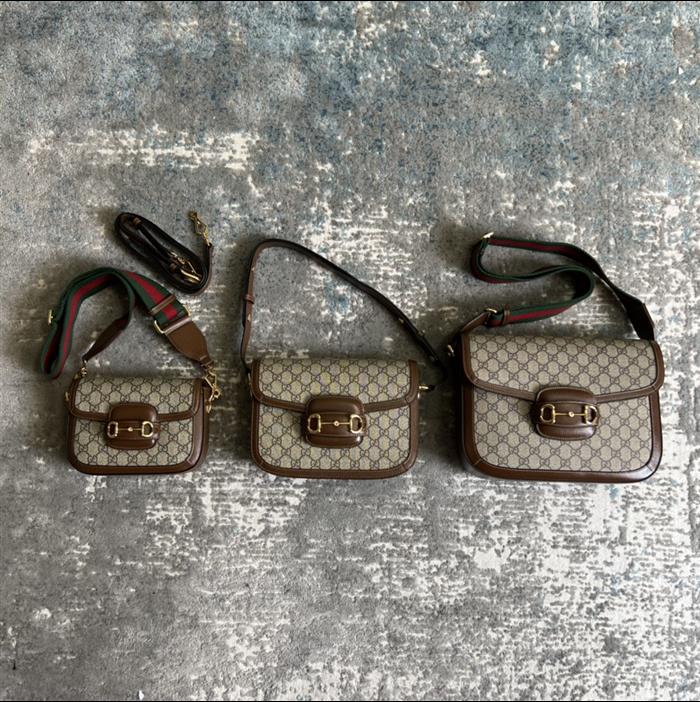 202529C602204N164057176