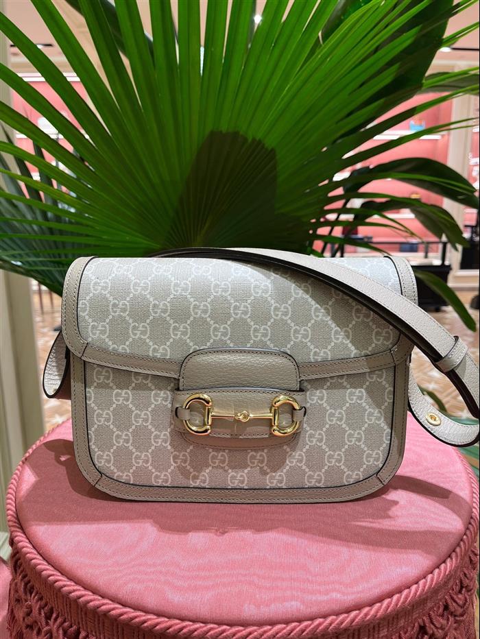 202529C602204N164057487