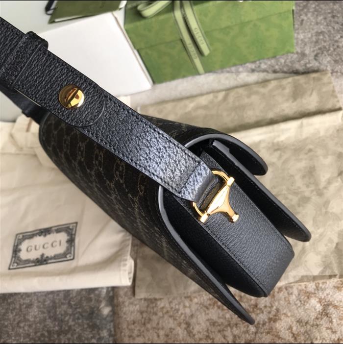 202529C602204N164057656