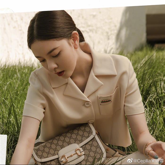 202529C602204N164057811