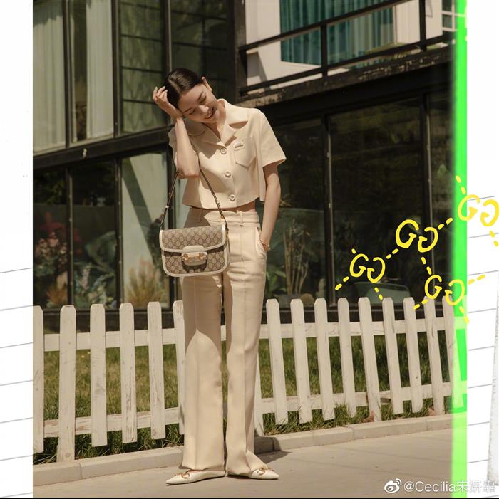 202529C602204N164057827