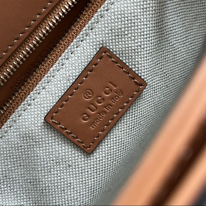 202529C602204N164059765