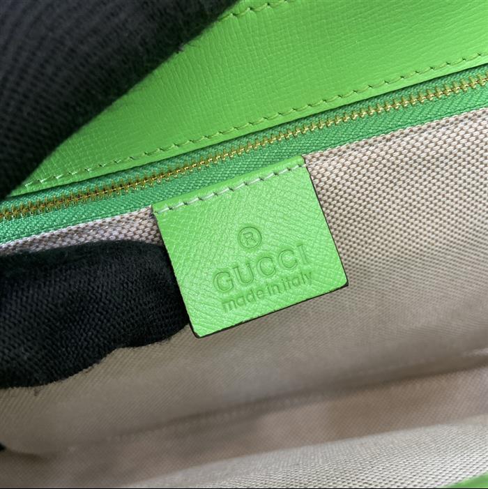 202529C602204N16410626