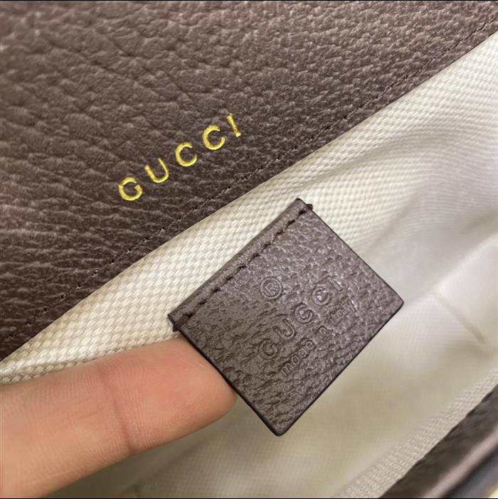 202529C658574N16414288