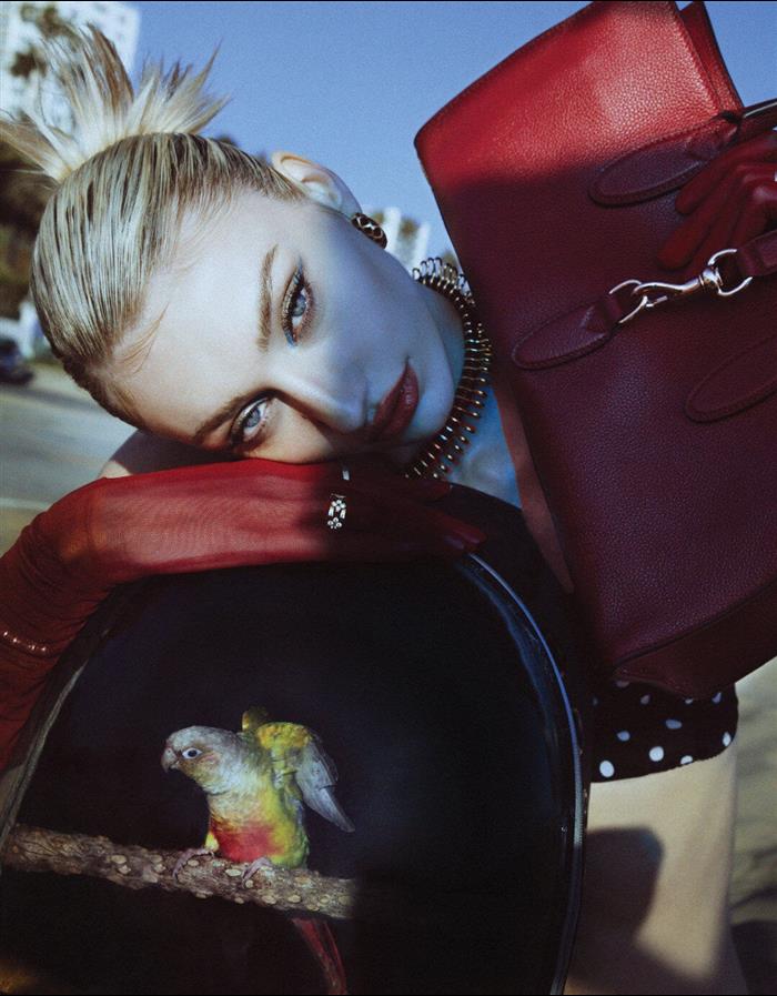 2025210C795282N2020296