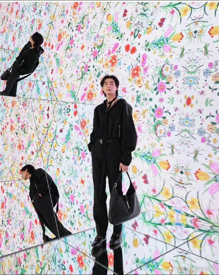 2025210C813650N202033354