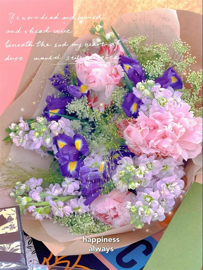 202529C636706N16417799