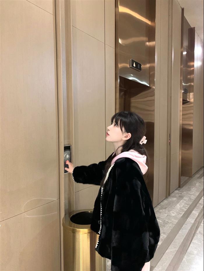 202529C637091N164112388