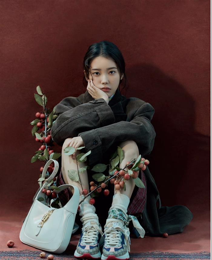 202529C637091N164113309