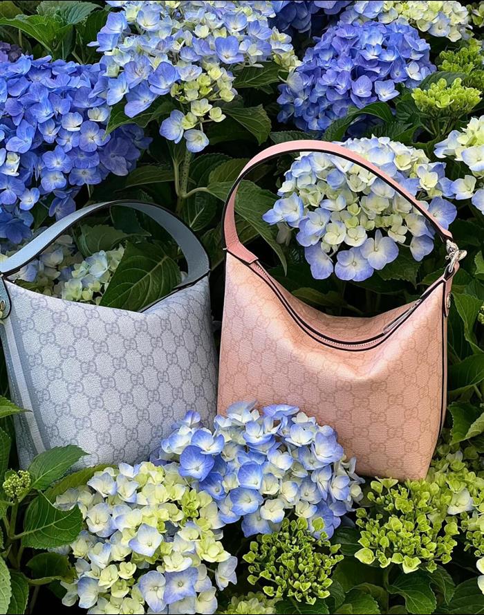 2025210C795170N20190967