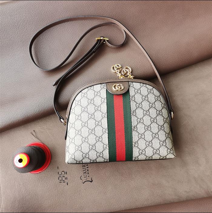 202529C499621N164026223