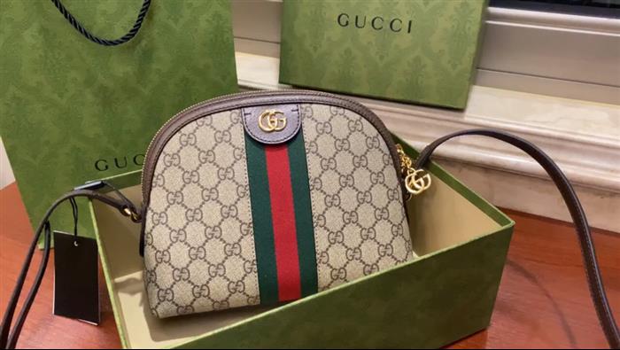 202529C499621N164026240