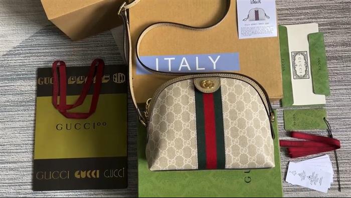 202529C499621N164026256