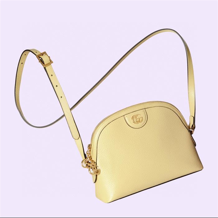 202529C499621N164026304