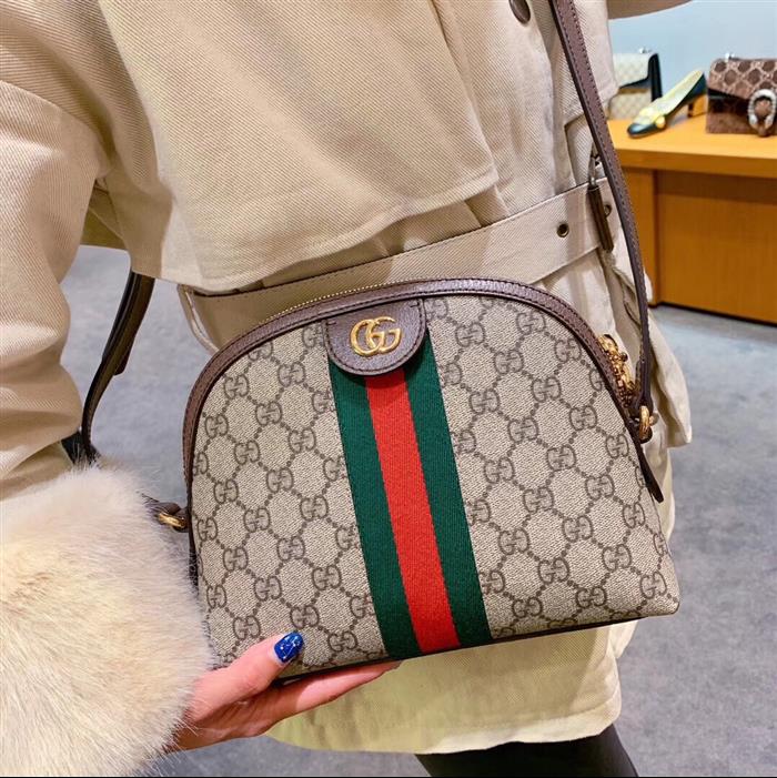 202529C499621N164026335