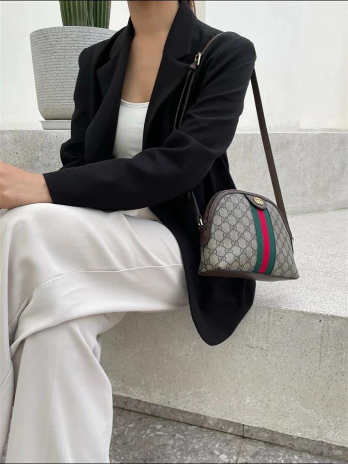 202529C499621N164026383