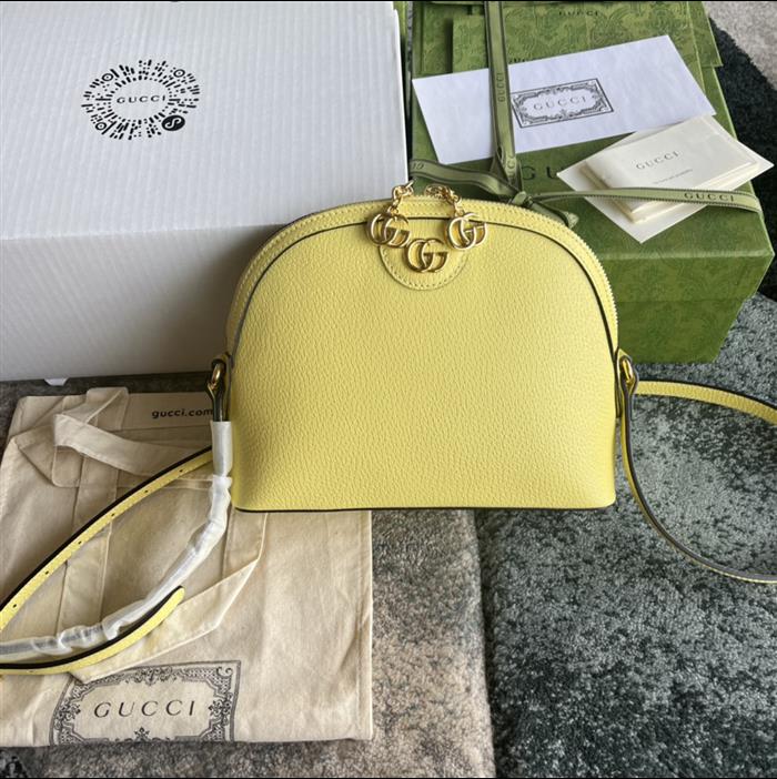 202529C499621N164026432