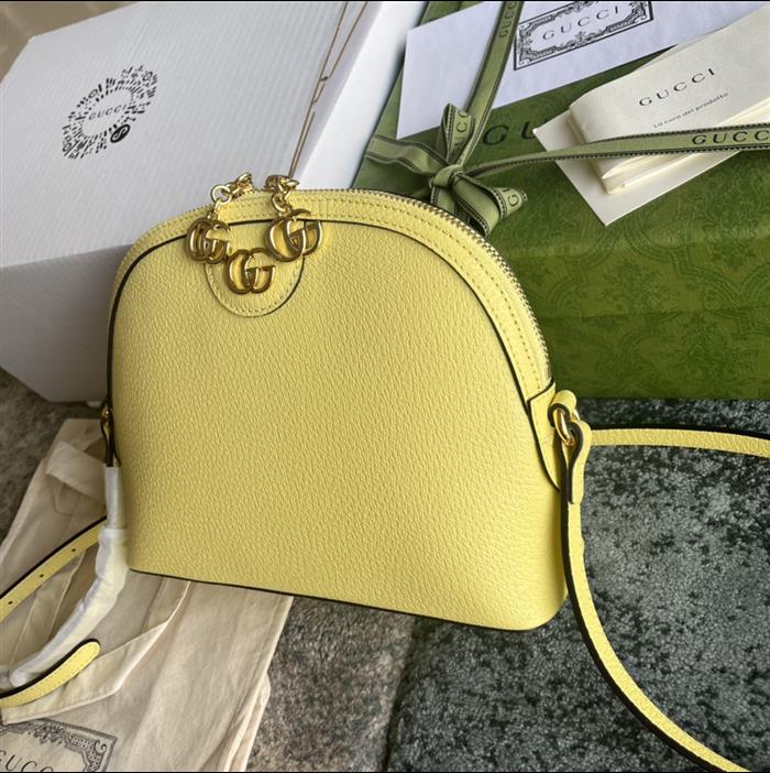 202529C499621N164026447