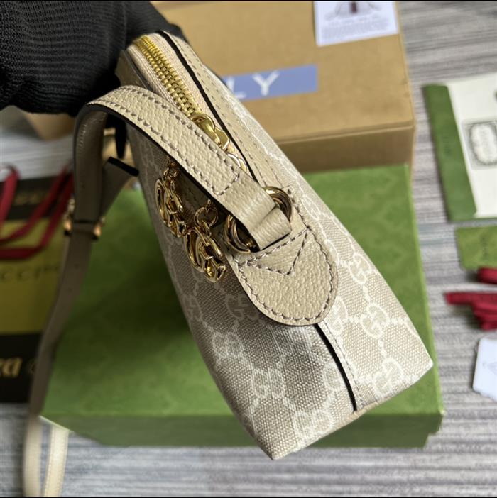 202529C499621N164026589