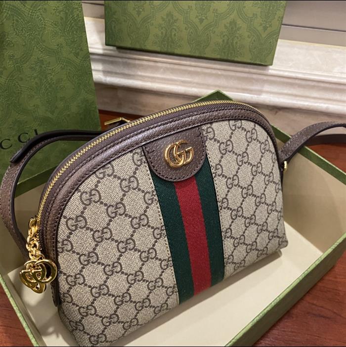 202529C499621N164026730