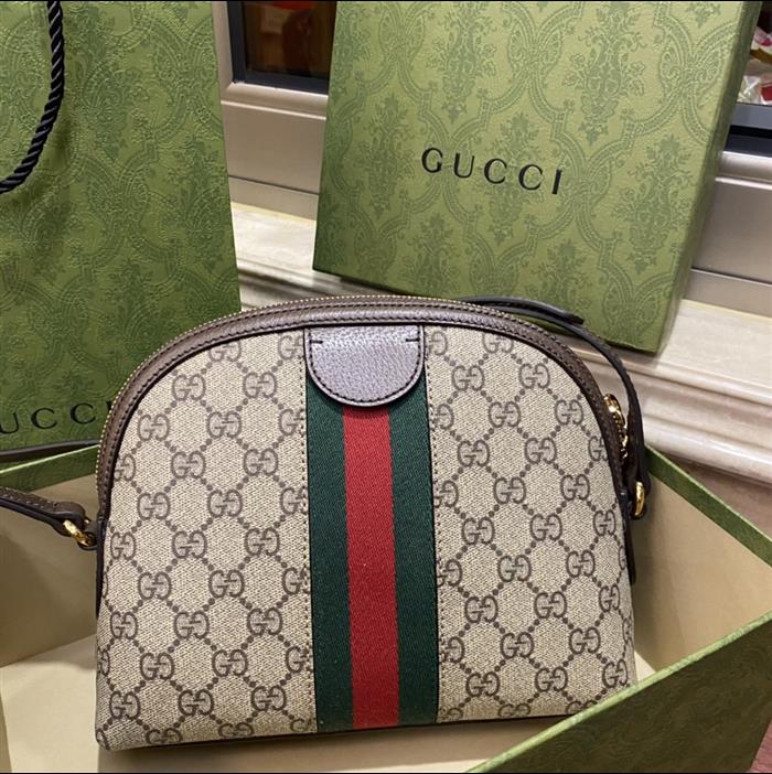 202529C499621N164026746