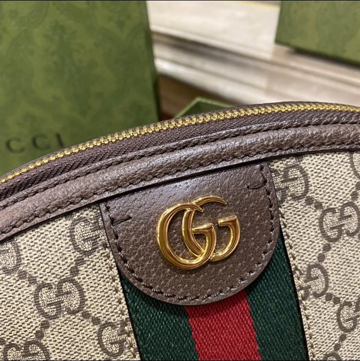 202529C499621N164026762